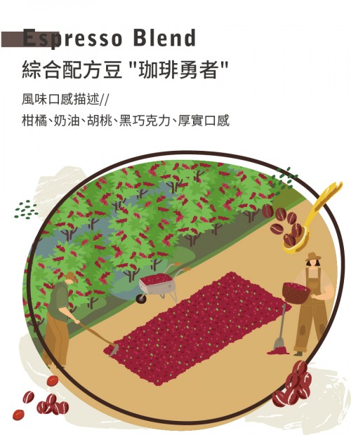 綜合配方豆 「珈琲勇者」