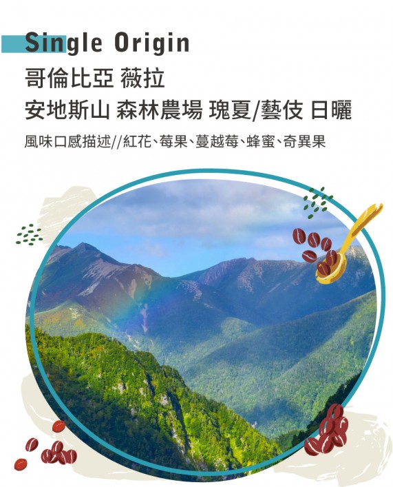 哥倫比亞 薇拉 安地斯山 森林農場 瑰夏/藝伎 日曬
