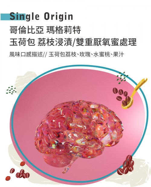 哥倫比亞 瑪格莉特 玉荷包 荔枝浸漬/雙重厭氧蜜處理