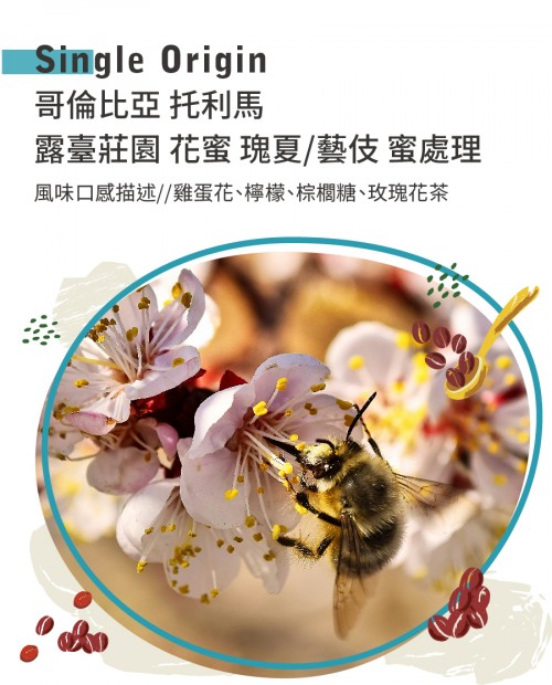哥倫比亞 托利馬 露臺莊園 花蜜 瑰夏/藝伎 蜜處理