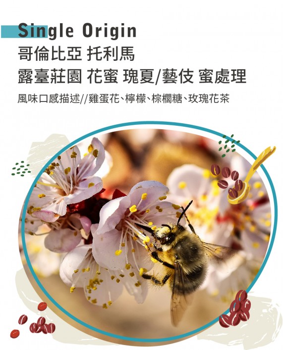 哥倫比亞 托利馬 露臺莊園 花蜜 瑰夏/藝伎 蜜處理