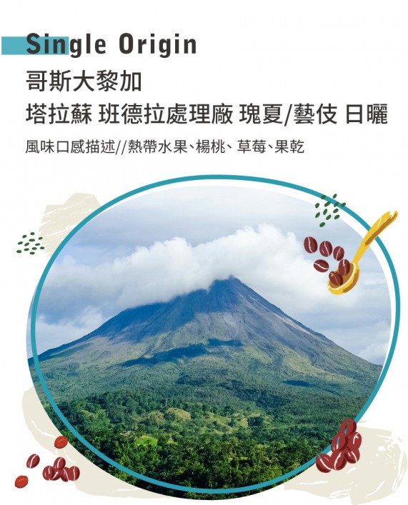 哥斯大黎加 塔拉蘇 班德拉處理廠 瑰夏/藝伎 日曬