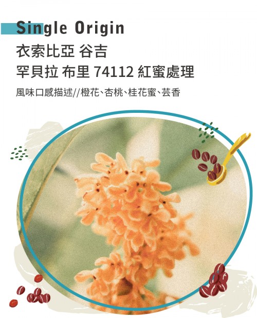 衣索比亞 谷吉 罕貝拉 布里 74112 紅蜜處理