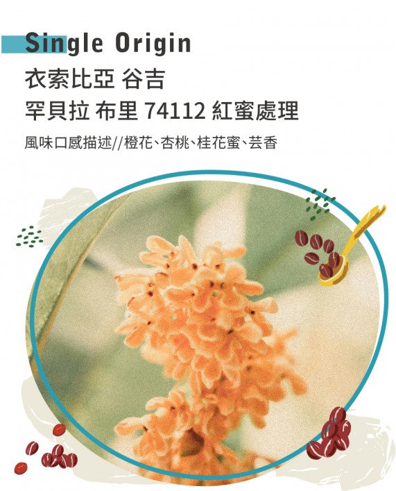 衣索比亞 谷吉 罕貝拉 布里 74112 紅蜜處理