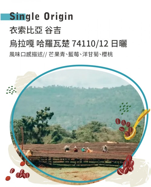 ( 2023 TOH 1ST )  衣索比亞 谷吉 烏拉嘎 哈羅瓦楚 74110/12 日曬