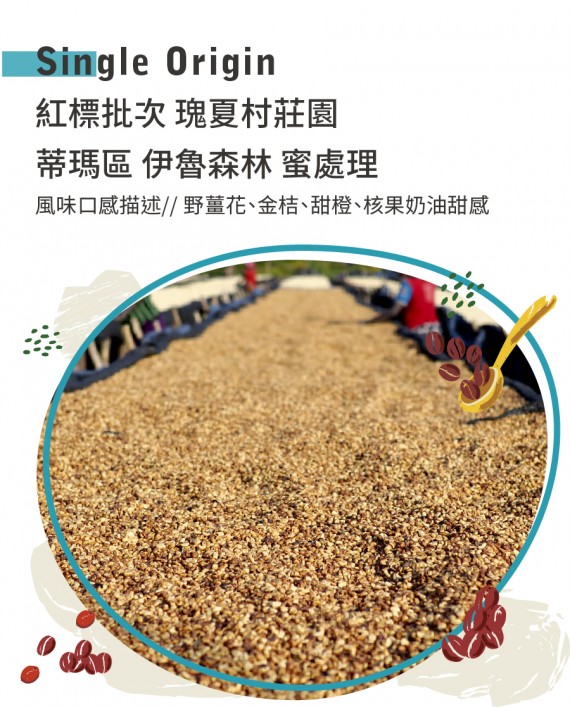 紅標批次●瑰夏村莊園 蒂瑪區 伊魯森林 蜜處理