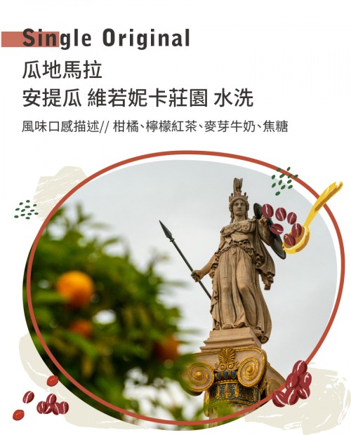 瓜地馬拉 安提瓜 維若妮卡莊園 水洗