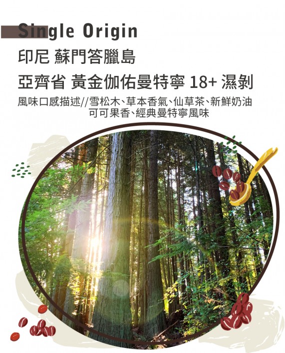 印尼 蘇門答臘島 亞齊省 黃金伽佑曼特寧 18+ 濕剝
