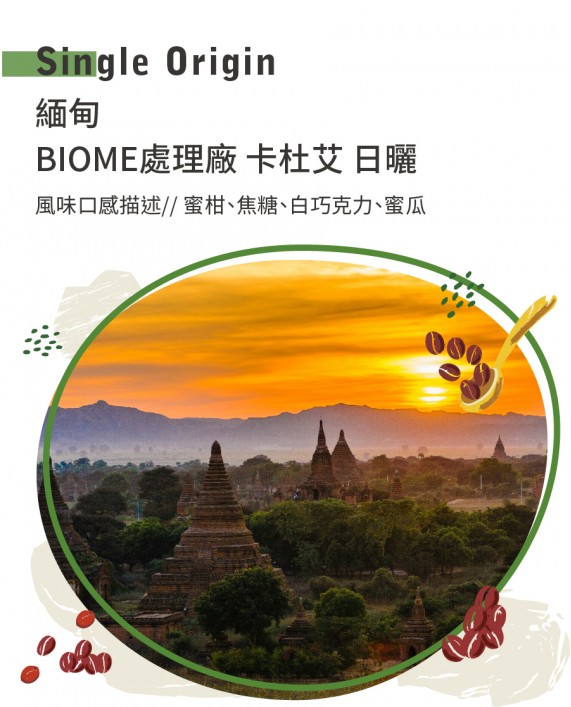 緬甸 BIOME處理廠 卡杜艾 日曬