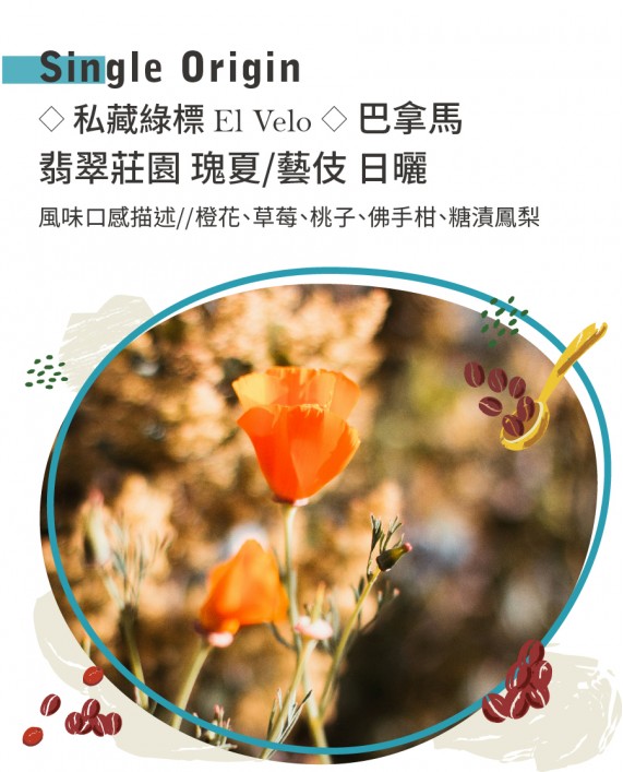 ◇私藏綠標 El Velo◇ 巴拿馬 翡翠莊園 瑰夏/藝伎 日曬