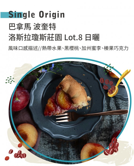 巴拿馬 波奎特 洛斯拉瓊斯莊園 Lot.8 日曬