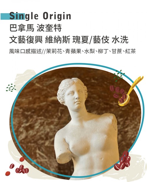 巴拿馬 波奎特 文藝復興 維納斯 瑰夏/藝伎 水洗