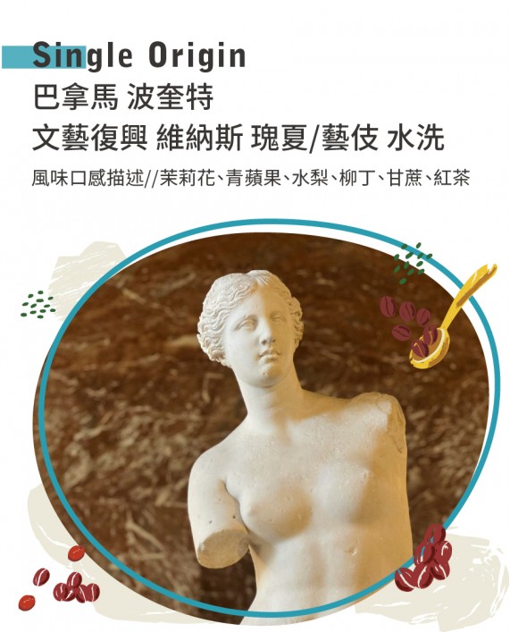 巴拿馬 波奎特 文藝復興 維納斯 瑰夏/藝伎 水洗