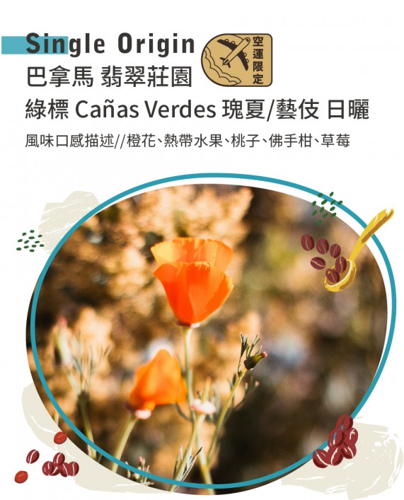 巴拿馬 翡翠莊園 綠標 Cañas Verdes 瑰夏/藝伎 日曬