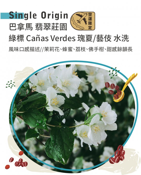 巴拿馬 翡翠莊園 綠標 Cañas Verdes 瑰夏/藝伎 水洗