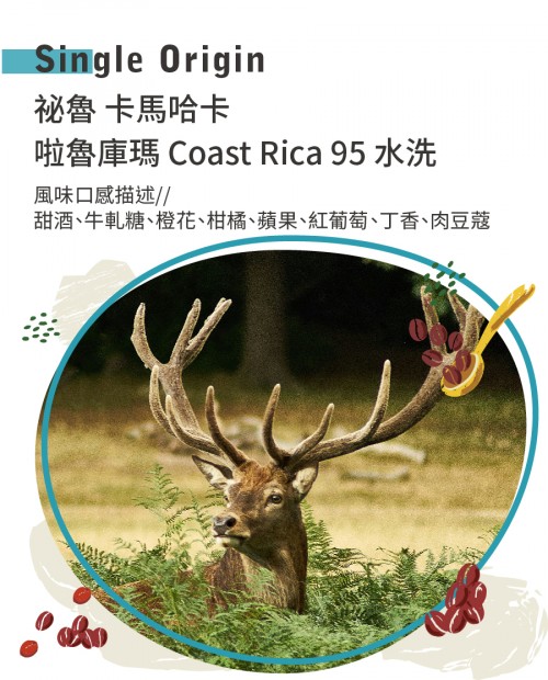 祕魯 卡馬哈卡 啦魯庫瑪 Coast Rica 95 水洗