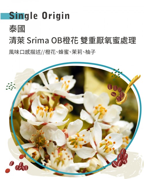 泰國 清萊 Srima OB橙花 雙重厭氧蜜處理