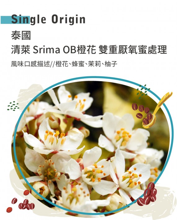 泰國 清萊 Srima OB橙花 雙重厭氧蜜處理