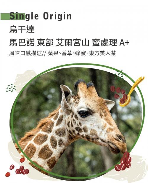 烏干達 馬巴諾 東部 艾爾宮山 蜜處理 A+