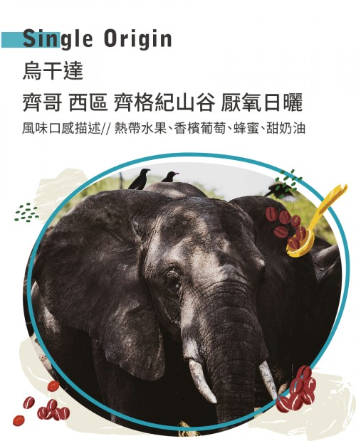 烏干達 齊哥 西區 齊格紀山谷 厭氧日曬